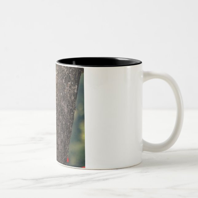 Em Dois Tons Caneca de café do pica-pau de Pileated (Direita)