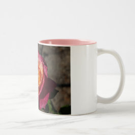 Em Dois Tons Caneca de café do rosa roxo e amarelo
