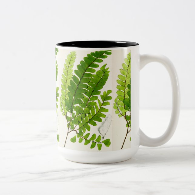 Em Dois Tons Caneca de Café Elegante Samambaia Botânica – Verde (Direita)