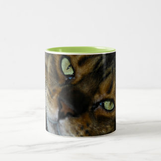 Em Dois Tons Caneca de café personalizada do animal de