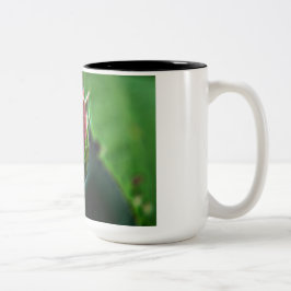 Em Dois Tons caneca de café rosa
