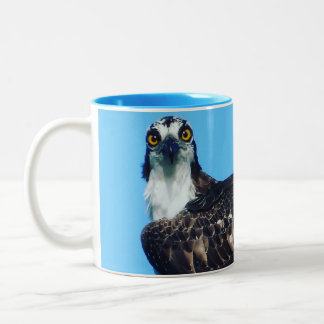 Em Dois Tons Caneca de Café / Taça de Birder - Osprey - Pássaro
