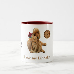 Em Dois Tons Labrador recupera caneca de café