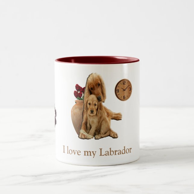 Em Dois Tons Labrador recupera caneca de café (Centro)