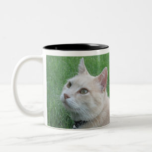 Em Dois Tons Romeo a caneca de café do gato