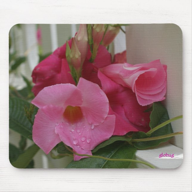 Em M_70 cor-de-rosa Mousepad (Frente)