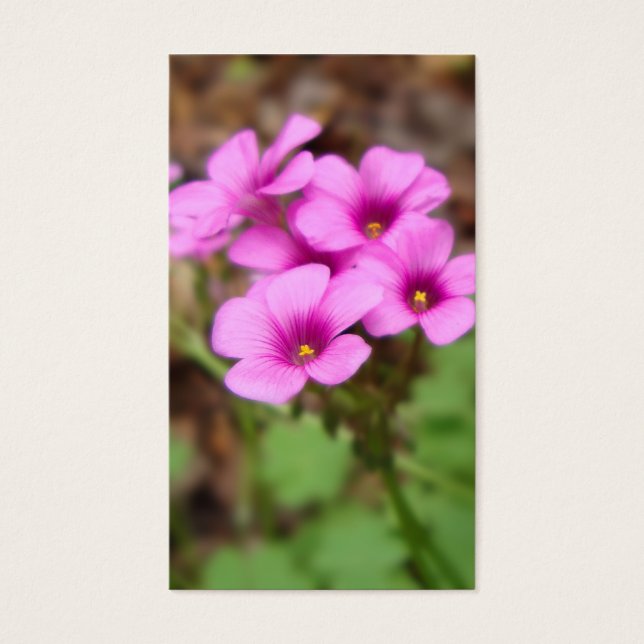 Em Meus Favoritos De Porta (Frente)