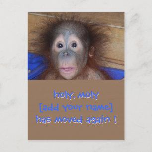 Em Movimentação de Novo Anúncio de Endereço