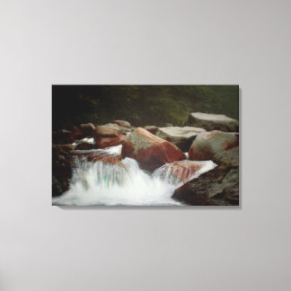 Em Poeira De Impressão De Seca Por Springtime