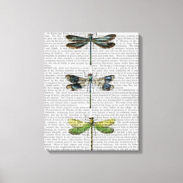 Em Tela Dragonflies Impressão 3 (Frente)