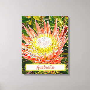 Em Tela Flor de proteína viagem impressão australiana