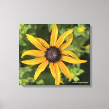 impressão Amarelo-cinzento