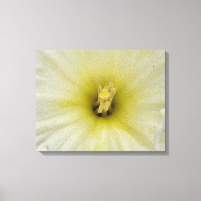 Em Tela Impressão bonito Daffodil (Frente)