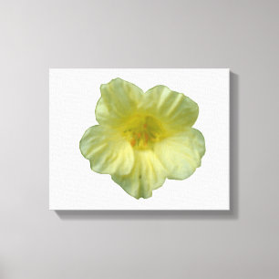 Em Tela Impressão bonito Nasturtium