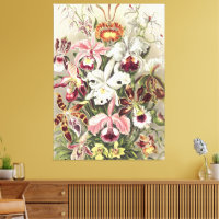 Impressão Botânica de Orquídea Vintage de Ernst Ha
