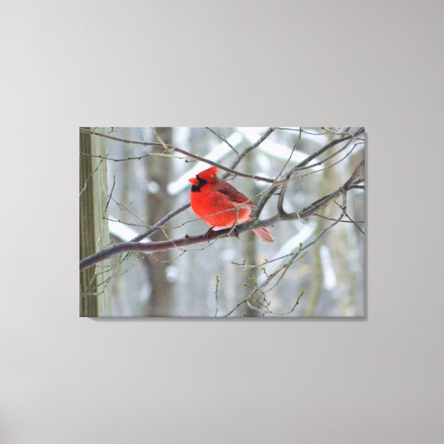Em Tela Impressão Cardinal Vermelho Cheery (Frente)