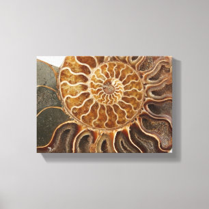 Em Tela Impressão da arte da amonite
