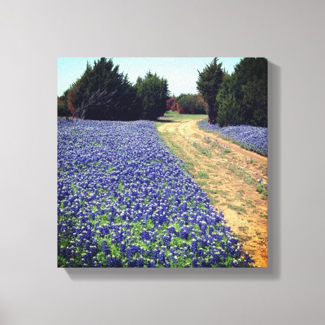 Em Tela Impressão da estrada de saia-azul (Frente)