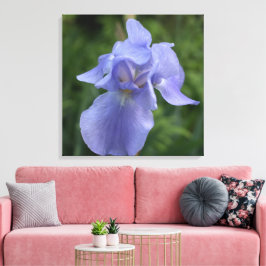 Em Tela Impressão da Flor Íris Roxo bonito