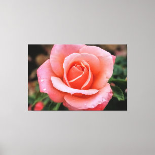 Em Tela Impressão de Arte Botânica Rosa Romântica