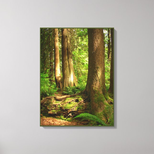 Em Tela Impressão de Arte da Paisagem Canadense Floresta d (Frente)