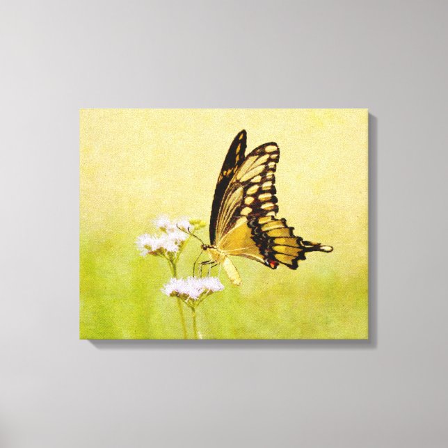 Em Tela Impressão de Arte de Flor Selvagem Amarelo e Negro (Frente)