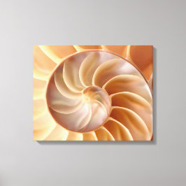 Em Tela Impressão de Arte Shell de Nautilus de Praia