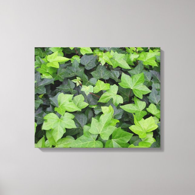 Em Tela Impressão de Botânica de Ivy Verde (Frente)