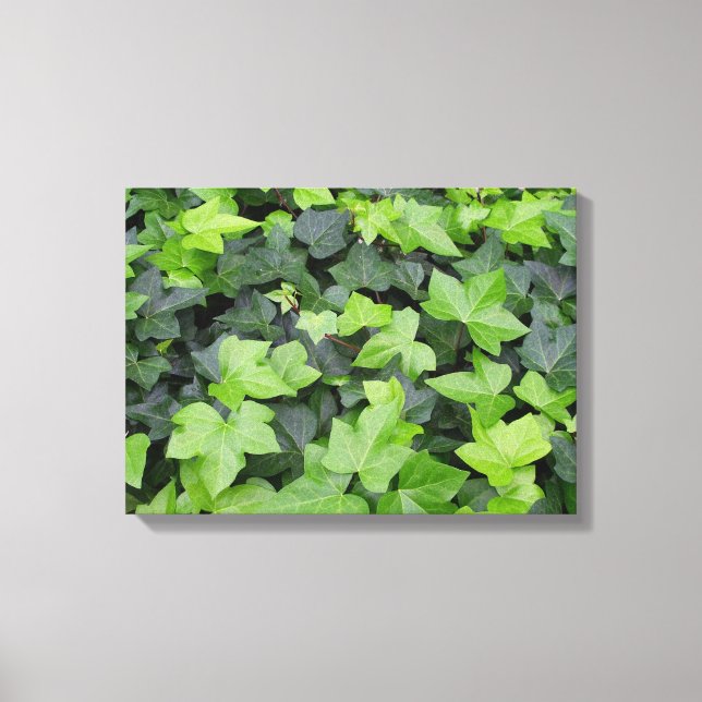Em Tela Impressão de Botânica de Ivy Verde (Frente)