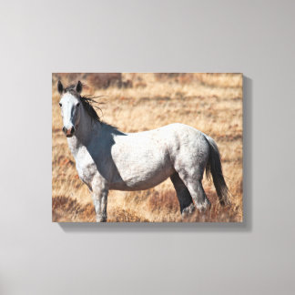 Em Tela Impressão de Cavalo Selvagem Branca de Mustang