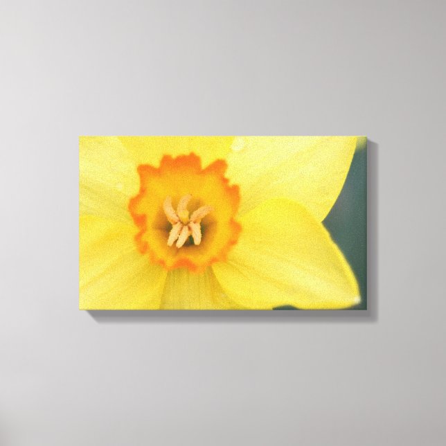 Em Tela Impressão de Daffodil Amarelo (Frente)