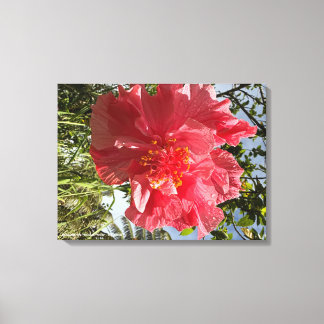 Em Tela Impressão de Flor Hibiscus @3dudes1life