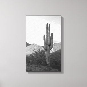 Em Tela Impressão de Fotografia de Saguaro Cactus Sonoran 