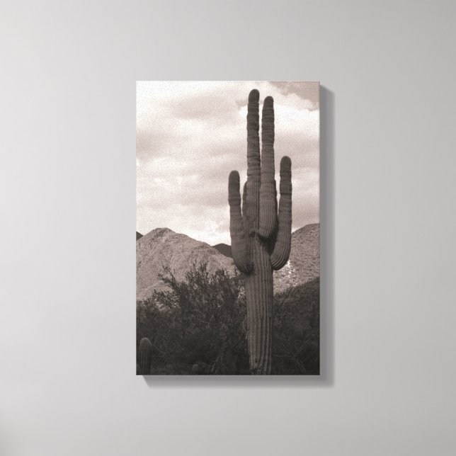 Em Tela Impressão de Fotografia de Saguaro Cactus Sonoran  (Frente)
