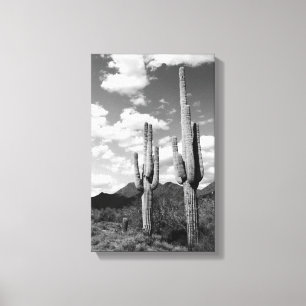 Em Tela Impressão de Fotografia de Saguaro Cactus Sonoran 