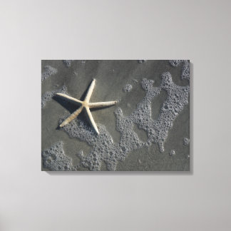Em Tela Impressão de Peixe de Estrelas de Praia