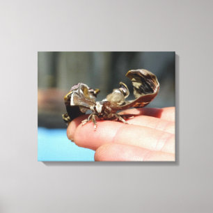 Em Tela Impressão de Solteiro de Fotografia dos Amantes de