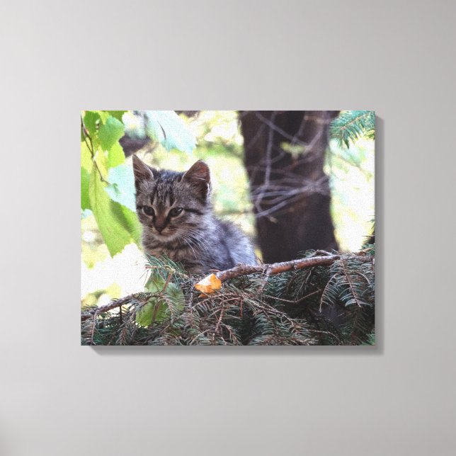 Em Tela Impressão de Solteiro para bebê de fotografia Kitt (Frente)