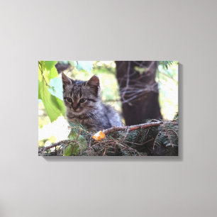 Em Tela Impressão de Solteiro para bebê de fotografia Kitt