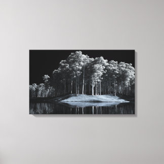 Em Tela Impressão de Telas de Floresta Branca (Noite)