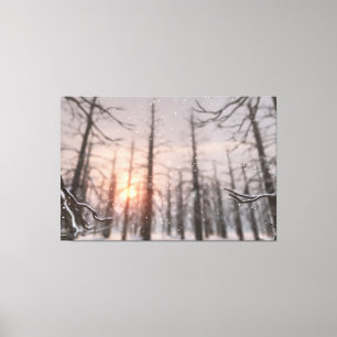 Em Tela Impressão de Telas de Sonho de Noite de Inverno