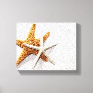Em Tela Impressão de Telas Estreitas de Starfish