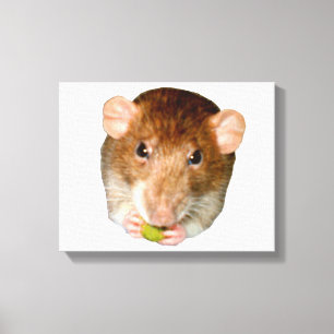 Em Tela Impressão de Telas Rat Faminosas