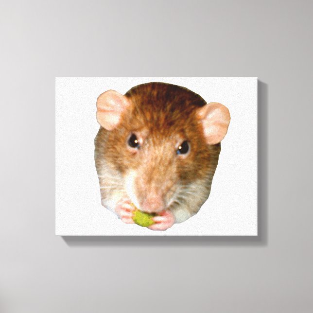Em Tela Impressão de Telas Rat Faminosas (Frente)