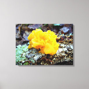 Em Tela Impressão de Tremella Mesenterica