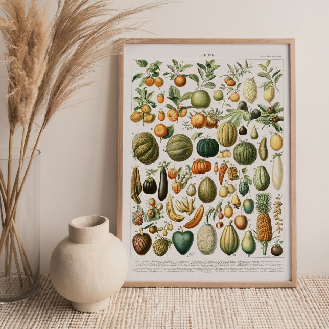 Em Tela Impressão do Adolphe Millot Fruta (Criador carregado)