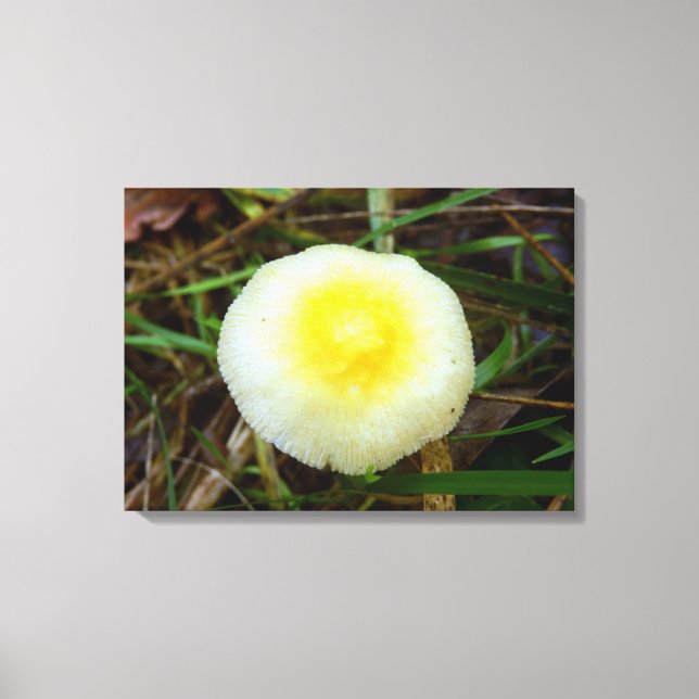 Em Tela Impressão do Cogumelo do Boné de campo amarelo (Frente)