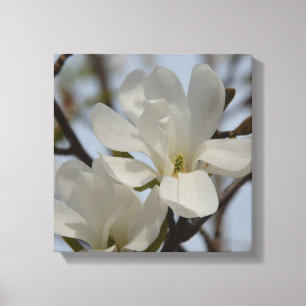 Em Tela Impressão do Flor da Magnolia Branca