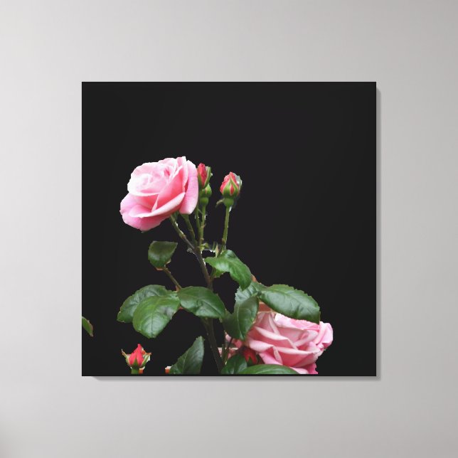 EM TELA IMPRESSÃO DO ROSA DE INGLÊS (Frente)
