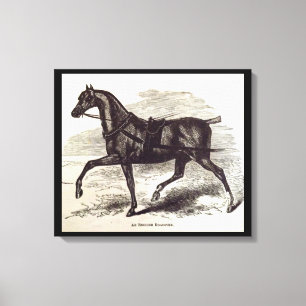 Em Tela impressão do século 19 Um cavalo de galeria inglês